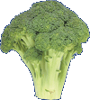 perfect broccoli