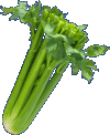 perfect celery