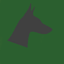 silhouette of a dog